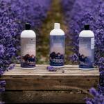 Equiderma Arnica Horse Shampoo – 32 oz