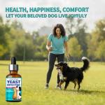 Yeast Infection Treatment for Dogs and Cats