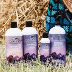 Equiderma Arnica Horse Shampoo – 32 oz