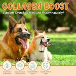 Liquid Collagen Drops for Dog Health Support