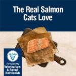 Blue Buffalo Skin & Coat Cat Food, Salmon 3.5 lb