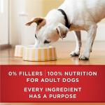 Purina ONE Classic Wet Dog Food Variety Pack