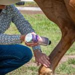 EQUIDERMA Horse Skin Lotion – 16 oz All-in-One Care