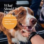 Veterinary Formula Dog Shampoo with Oatmeal & Tea Tree