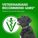 IAMS Proactive Health Wet Dog Food - Lamb & Rice