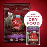 Purina ONE True Instinct Wet Dog Food, Beef & Bison