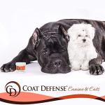 Coat Defense Drying Paste for Dogs and Cats