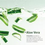 Chloraseb Skin and Coat Care Spray for Pets