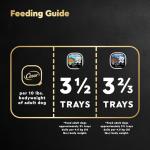 Cesar Home Delights Wet Dog Food Variety Pack