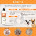 Healthy Paw Skin & Coat Care Set