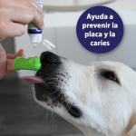 Canosept Dog Toothbrush Set for Dental Care