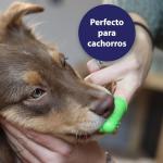 Canosept Dog Toothbrush Set for Dental Care