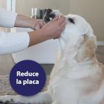 Canosept Dental Care Finger Pads for Dogs