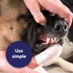 Canosept Dental Care Finger Pads for Dogs