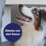 Canosept Dental Care Finger Pads for Dogs