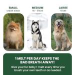 PetPax Co. Dog Breath Freshener Strips – 30ct