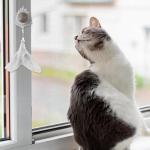 Catnip Chew Toy with Suction Cup and Feather