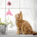 Catnip Suction Cup Toy with Chew Feather