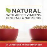 Purina ONE Classic Wet Dog Food Variety Pack