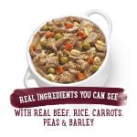 Beneful Beef Stew Wet Dog Food 8-Pack