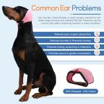 Dog Ear Muffs and Swim Cap for Noise Relief