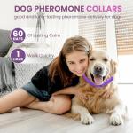 Guowo Calming Collar for All Dogs - 4 Pack