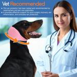 Dog Ear Muffs and Swim Cap for Noise Relief