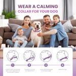 Guowo Calming Collar for All Dogs - 4 Pack