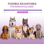 Guowo Calming Collar for All Dogs - 4 Pack