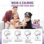 Calming Pheromone Collar for Dogs - 4 Pack