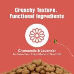 Get Naked Cat Calming Treats - Salmon & Cheese