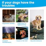 Dog Calming Chews for Anxiety and Stress Relief