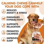 Calming Chews for Dogs - Stress Relief Treats