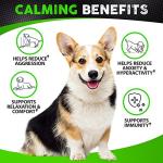 Hemp Calming Chews for Dog Anxiety Relief