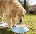 Non-Slip Lick Bowl for Dogs and Cats