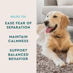 VetIQ Calming Chews for Stress Relief in Dogs