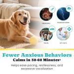 Dog Calming Chews with GABA, Melatonin & Ashwagandha