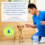 Native Pet Calming Chews for Dog Anxiety Relief