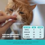 Calming Chews for Cats - Stress Relief & Relaxation