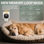 Dog Calming Pheromone Diffuser for Stress Relief