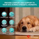 Calming Chews for Dogs - Hemp & Melatonin