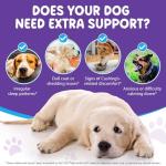 Bacon Flavored Melatonin Sleep Aid for Dogs