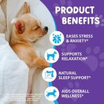 Bacon Flavored Melatonin Sleep Aid for Dogs