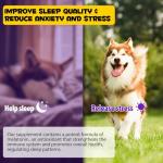Calming Dog Melatonin Liquid for Anxiety Relief