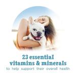 Beneful Incredibites Wet Dog Food Variety Pack