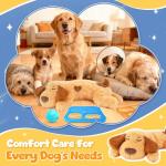 Heartbeat Puppy Calming Kit for Dogs - 4 Pcs