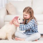 Dog Ear Covers - Calming Hoodie Earmuffs for Anxiety