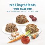 Beneful Incredibites Wet Dog Food Variety Pack