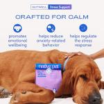 Native Pet GutWell Calming Treats for Dogs