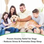 Dog Calming Powder with Melatonin and Probiotics